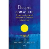 Despre consolare. Cum să-ți găsești alinarea &icirc;n vremuri &icirc;ntunecate - Michael Ignatieff
