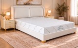 Pat Marvis 160x200 cm Tapitat Catifea Crem Somiera Inclusa