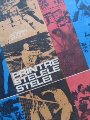 Printre stelele Stelei - Octavian Vintila foto