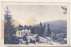 bnk cp Soveja - Vedere - uzata 1960 - marca fixa