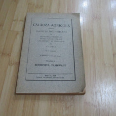 D. COMSA--CALAUZA AGRICOLA - VOL. I - 1924