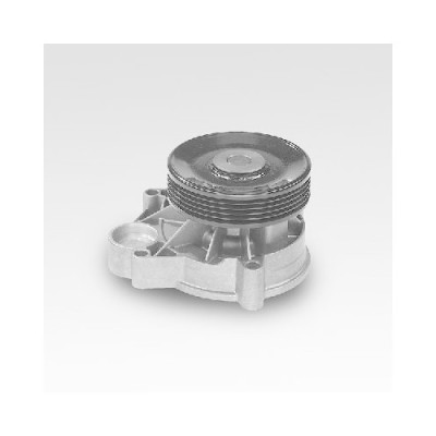 Pompa apa Hepu P463 foto