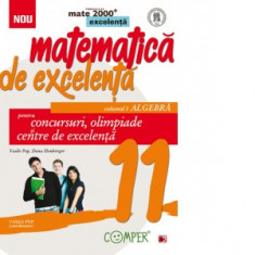 Matematica de excelenta. Pentru concursuri, olimpiade si centrele de excelenta. Clasa a XI-a. Volumul I - Algebra