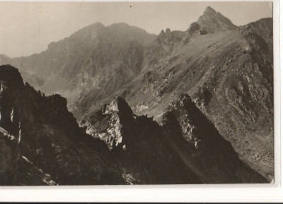 CPIB 21360 CARTE POSTALA - MUNTII FAGARAS.SAUA PODRAGUL, NECIRCULATA foto