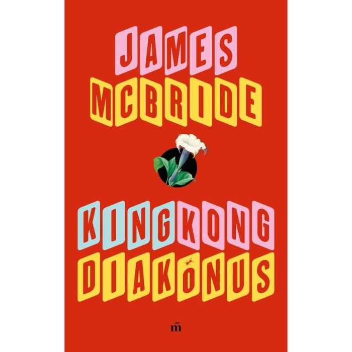 King Kong diak&oacute;nus - James Mcbride