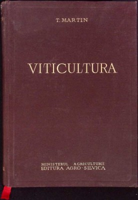 VITICULTURA-T. MARTIN-259375 foto