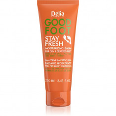 Delia Cosmetics Good Foot Stay Fresh ro balsam hidratant pentru picioare 250 ml