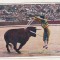 bnk cp Corrida de toros - Banderillas - necirculata