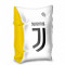 ARIPIOARE INOT F.C. JUVENTUS