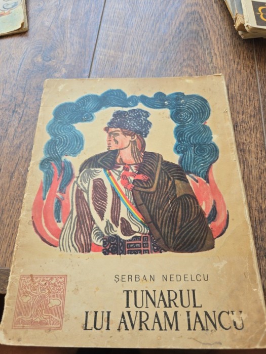 Tunarul lui Avram Iancu - Șerban Nedelcu