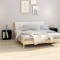 vidaXL Noptiere, 2 buc., negru, 40x30x40 cm, lemn masiv de pin 813344