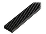 Radiator extrudat cu aripioare negru 1000x33x10 mm