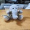 Jucare Plus Elefant