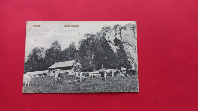 Prahova Sinaia Stana / Staua Regala 1908 foto