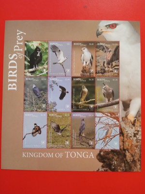 TONGA, PĂSĂRI - BLOC MNH foto