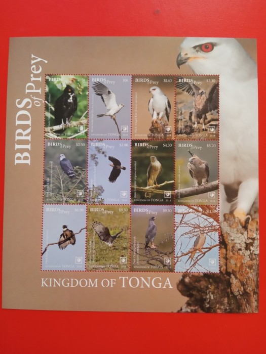 TONGA, PĂSĂRI - BLOC MNH