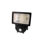 Proiector cu LED SMD 30W 1950lm IP44 4000K Well
