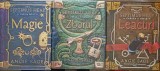 SERIA SEPTIMUS HEAP VOL.1-3 MAGIE, ZBORUL, LEACURI-ANGIE SAGE-276808