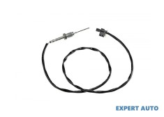 Senzor temperatura gaze dpf BMW Seria 5 (2001-2010) [E60] #1
