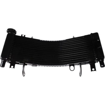 Radiator Suzuki TL1000R 1998-2003 foto