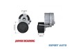 Rola intinzatoare curea alternator Peugeot 206 (1998-&gt;)[2A/C] #1
