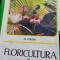 M. Preda - Floricultura