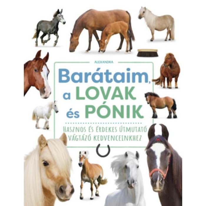 Bar&aacute;taim, a lovak &eacute;s p&oacute;nik - Hasznos &eacute;s &eacute;rdekes &uacute;tmutat&oacute; v&aacute;gt&aacute;z&oacute; kedvenceinkhez