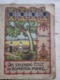 Un splendid colt din Romania-Mare - D. E Petrescu