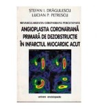 Stefan I. Dragulescu, Lucian P. Petrescu - Revascularizatia