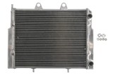Radiator pentru Polaris Ranger / Ace 500/570/800 (2008-2018)