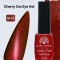 Ojă semipermanentă ochi de pisică, Cherry Red Cat Eye Global Fashion, 8ml, 002