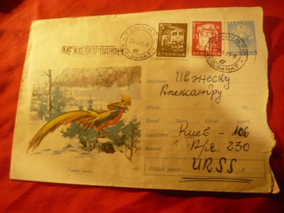 Plic ilustrat - Fauna - Fazan Auriu cod 926/1964 foto