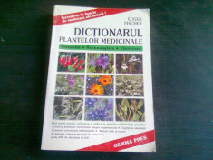 DICTIONARUL PLANTELOR MEDICINALE - EUGEN FISCHER foto