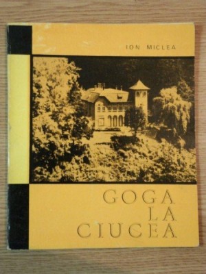 GOGA LA CIUCEA de ION MICLEA foto