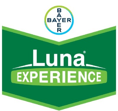 Luna Experience 400SC 10ml foto