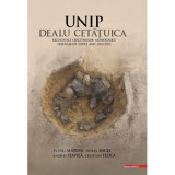 Unip Dealu Cetatuica. Rezultatele cercetarilor arheologice desfasurate intre anii 2009&ndash;2015 - Iosif Vasile Ferencz, Petru Urdea
