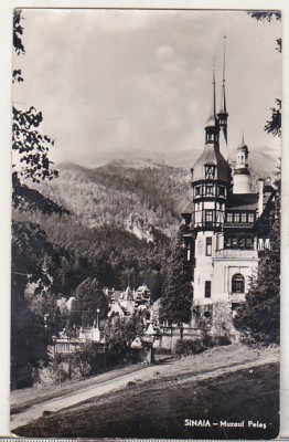 bnk cp Sinaia - Muzeul Peles - uzata foto