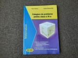 CULEGERE DE PROBLEME PENTRU CLASA A IX A DILIMOT NITA PETRE SIMION