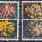 DB1 Fauna Marina Corali Papua Noua Guinee 4 v. MNH