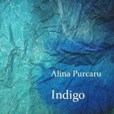 Indigo - Paperback brosat - Alina Purcaru - Tracus Arte
