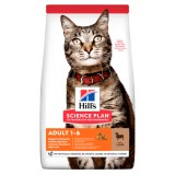 Hrana uscata pentru pisici Hills SP Feline Adult cu Miel si Orez, 3 kg