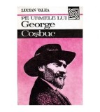 Lucian Valea - Pe urmele lui George Cosbuc - 100105