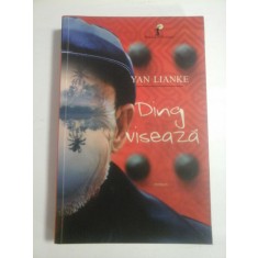 DING VISEAZA - YAN LIANKE