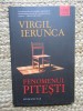 FENOMENUL PITESTI - VIRGIL IERUNCA