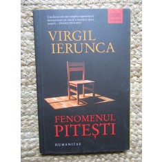 FENOMENUL PITESTI - VIRGIL IERUNCA
