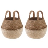 vidaXL Vază pentru plante cu m&acirc;nere 2 pcs Alb &Oslash; 22 x 20 cm 42012267