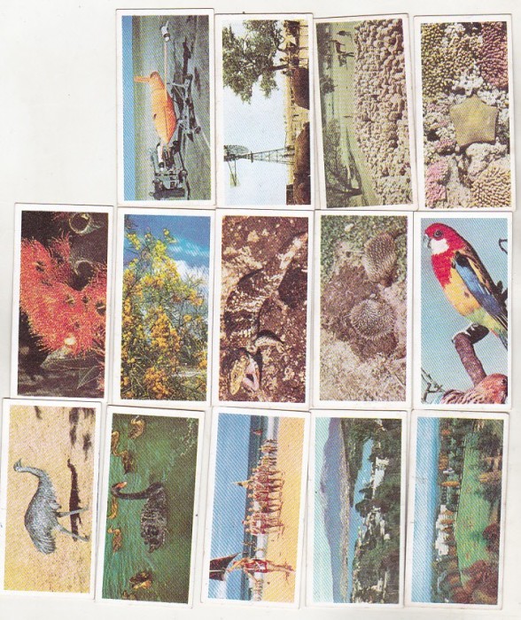 bnk crc Lyons Tea - Australia - 14 bucati