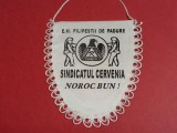 Fanion Minerit-Sindicatul &quot;CERVENIA&quot; Filipestii de Padure