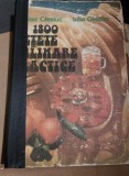 1800 RETETE CULINARE PRACTICE NICOLAE OLEXIUC / IULIA OLEXIUC