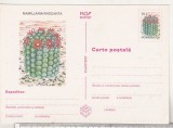 bnk cp Cactusi - necirculata - marca fixa - 019/97